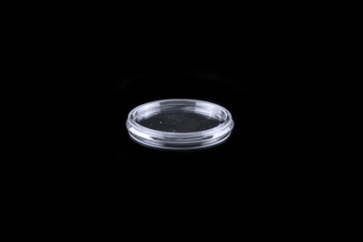 EG 68 117 F